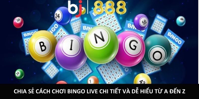 Chia sẻ cách chơi Bingo Live chi tiết và dễ hiểu từ A đến Z