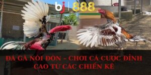 da ga noi don anh dai dien