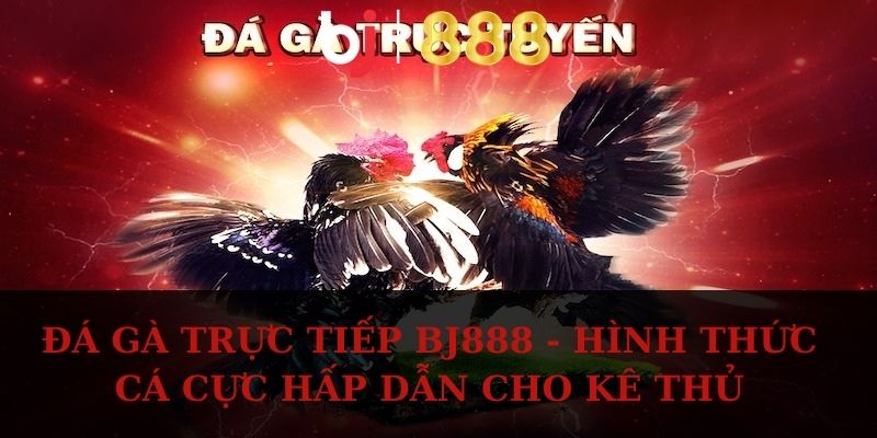 da ga truc tiep anh dai dien