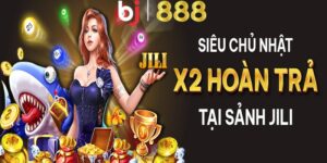 chu nhat vang – nhan doi hoan tra tai cac tro jili anh dai dien