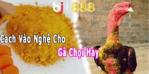 ga vao nghe bao lau thi da duoc anh dai dien