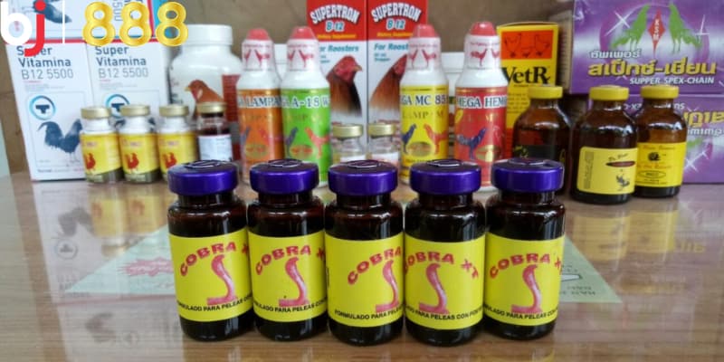 Các tiêu chí chọn thuốc và kinh nghiệm sử dụng hiệu quả