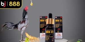 Thuốc Kích Gà Giúp Chiến Kê Sung Mãn Và Dẻo Dai Bất Ngờ